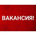 Вакансии в компании FMGroup
